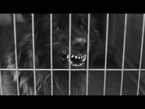 Mikser feat. Brian - Andergrand