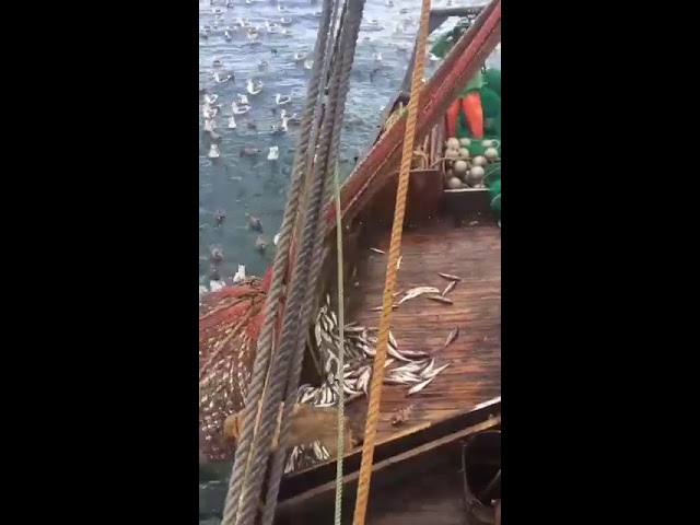 Никогда не знаешь, что принесёт море