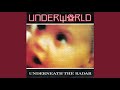 Underworld - Underneath The Radar
