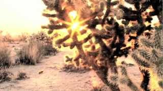 Trummors - Ever Do I Wait