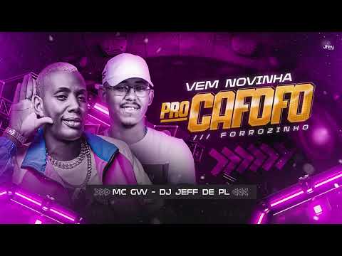 FORROZINHO VEM NOVINHA PRO CAFOFO MC GW E DJ JEFFDEPL