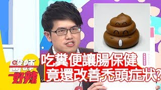 吃糞便讓腸保健康？竟還改善禿頭症狀？！【醫師好辣】20191224 part4 EP867 鄭丞傑 田知學