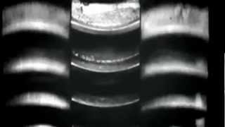 THE SOFT MOON - Machines (Official Video)