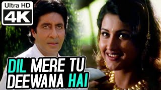 Dil Mere Tu Deewana Hai (Male)- 4K Video | Amitabh Bachchan | Sooryavansham | Kumar Sanu | Anu Malik