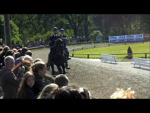 Kronshof Special: S1.V1 A-Finale