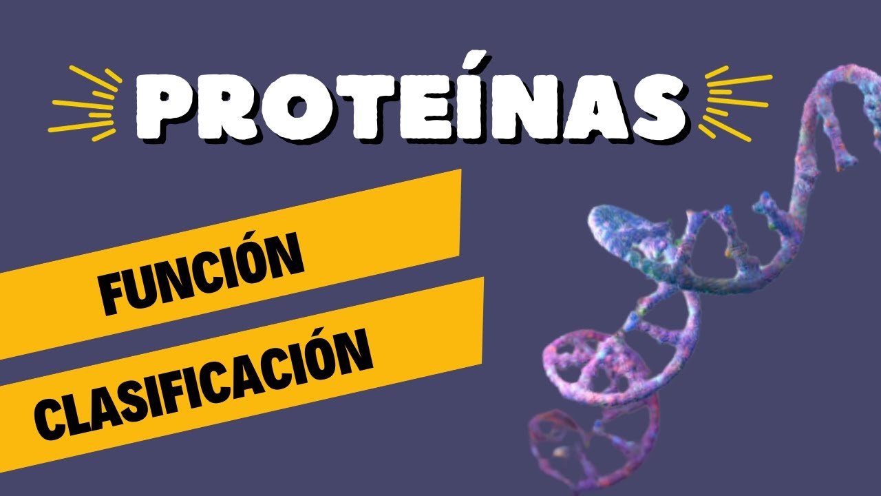 Proteínas: Estructura, Clasificación, Función y Desnaturalización 🔬