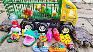 Download lagu It's fun to save cute chicks and find real turtles, ducks, ornamental fish, geese, crocodiles mp3 Download lagu It's fun to save cute chicks and find real turtles, ducks, ornamental fish, geese, crocodiles mp3