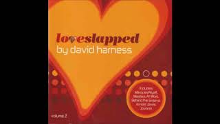 David Harness ‎– Loveslapped - Volume 2 (2002) - Loveslap! Recordings/ Deep House/ House