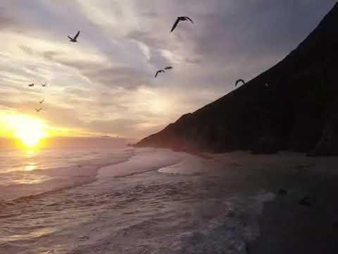 POBRE GAVIOTA - LOS MARAQUEROS.