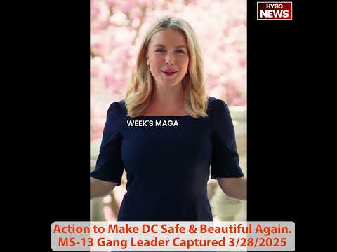 Press Sec Karoline Leavitt: The Trump White House MAGA’d this week, Hyundai, 25% Tariff 3/28/2025