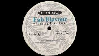 Fab Flavour - Burning Like Fire.wmv