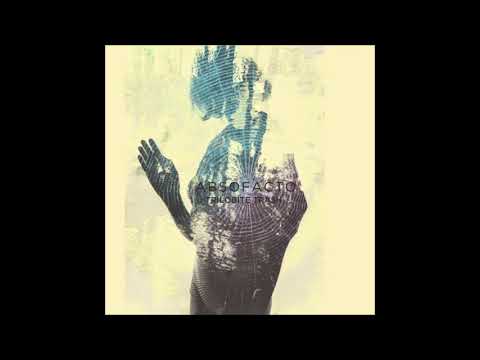 Palinopsia - Absofacto