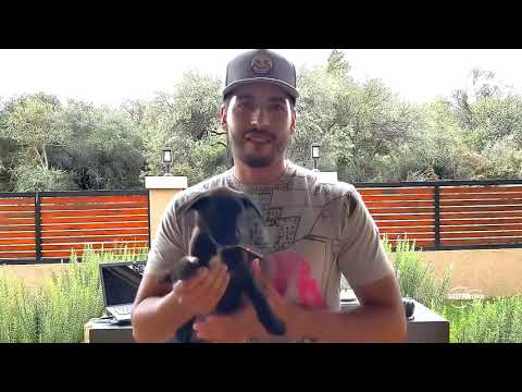 GRIFFA @ Sebaye House - Los Molles/San Luis