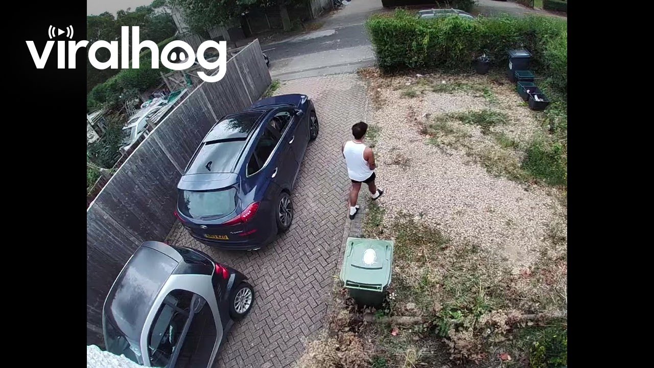 Wife Blames Husband for Her Parking Accident || ViralHog