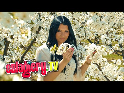 Krzysiek Gajda - Nim zajdzie słoneczko