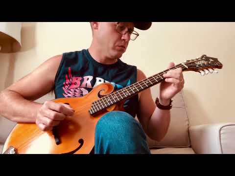 Micawber Haystack Octave Mandolin image 13
