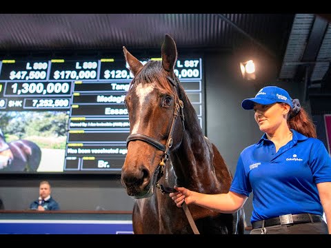 2022 Magic Millions GC National Broodmare Sale - Lot 892