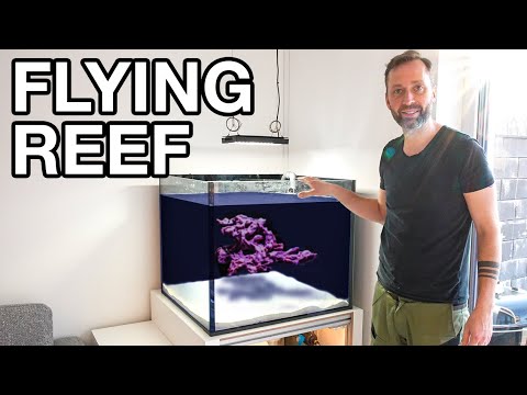 400l Cube Aquarium Aufbau!
