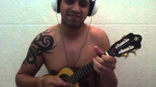 Paulinho da Viola - Eu canto samba