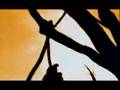 Neurosis - Where roots run