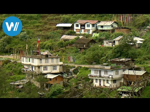 Sikkim, the ancient knowledge of the shamans (360° - GEO Reportage)