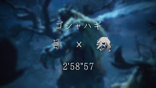 [MHR ] 閃避高手 「麥芽」