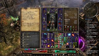 Grim Dawn 1.1.7.2(ダッシュテンプラー_苦悶の階段攻略)