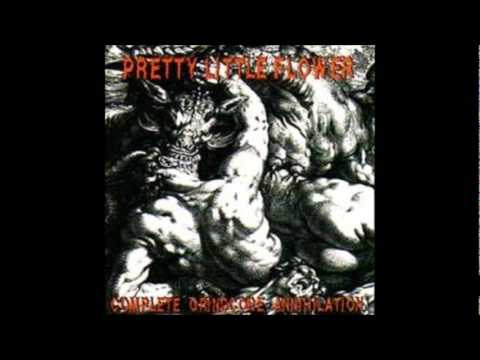 P.L.F. - Fuck Your Patriotic Pride