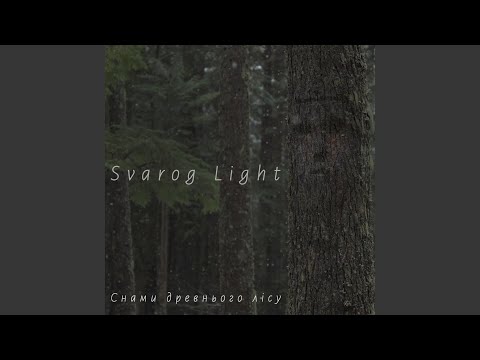 Снами древнього лісу