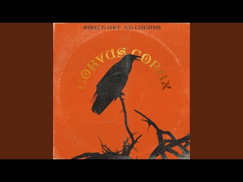 I nostri semi (feat. Rotella & Mone)