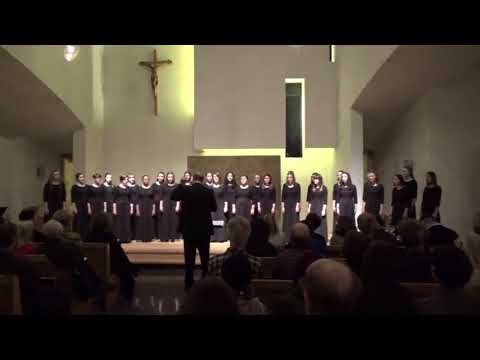 Virmalised ("Northern Lights")