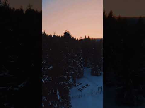 Drone View of Trees in the Snowy Landscape Hashtags: #droneview #icetrees #snow #landscape #shorts