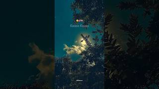 Nillayo | Bairavaa 🎶 Vijay | Santhosh Narayanan | Tamil Lyrical Edit | Slofybeats ❤️✨