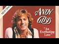 An Everlasting Love Lyrics - Andy Gibb