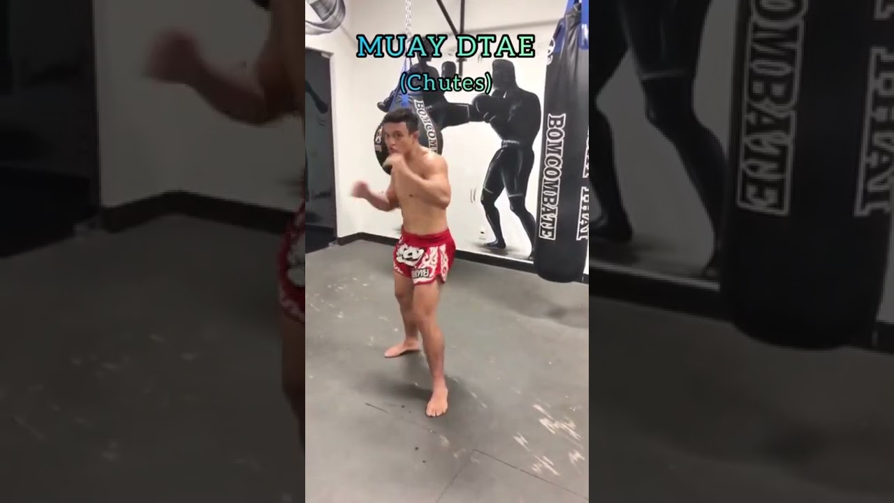 5 ESTILOS DE MUAY THAI #shorts #muaythai