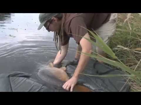 Carp team Exil - Podzim 2014