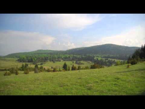 RAĆA RADOJIČIĆ - Kolo