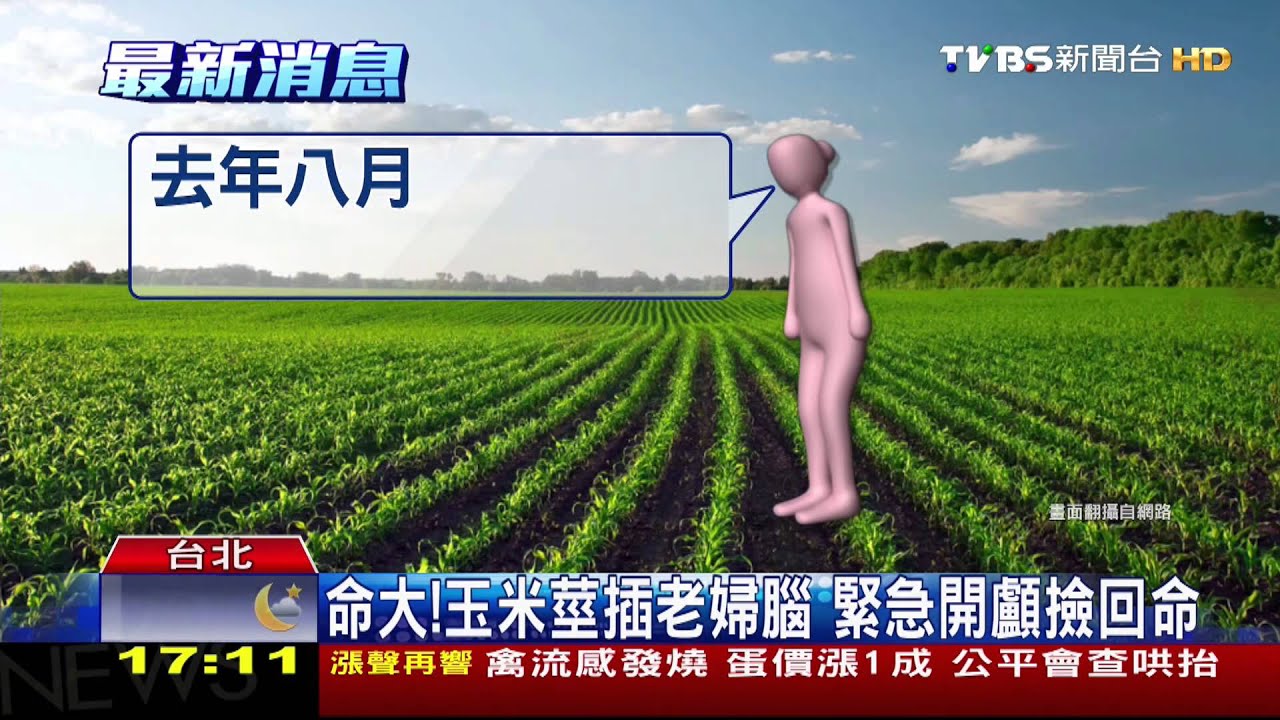 ​命大！玉米莖插老婦腦　緊急開顱撿回命