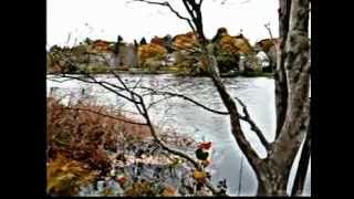 onslaught-welcome to dying