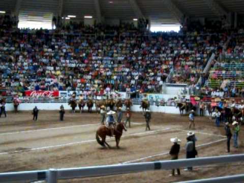 La mejor cala de caballo hasta ahorita