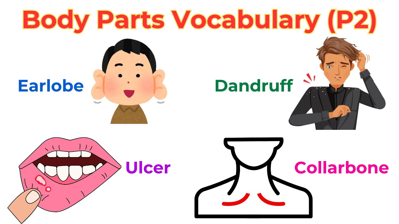 Parts of body name | Parts of body name with pictures | Parts of the Body