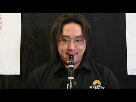 Clarinet for BEGINNERS - How to play your first 5 notes!
