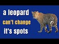 Idiom Meanings A Leopard Can T Change Its Spots