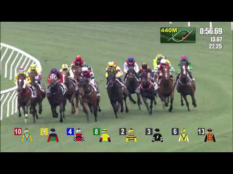 16/4/2022 (585) Red Brick Fighter - Z Purton