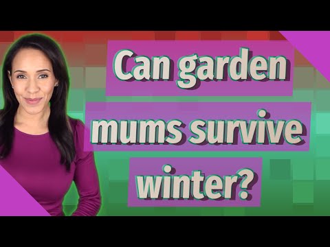 庭のお母さんたちは冬を乗り越えることができるでしょうか？