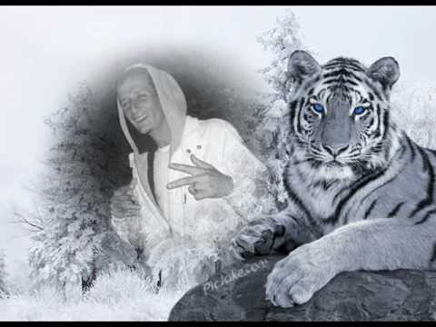 elham ft. the cannibalz - fly