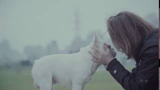 謝和弦 R chord – 在沒有你以後 Without you Feat  張智成 Z Chen 華納 Official 官方完整版 MV online video cutter com 11