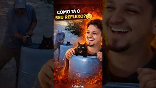 Como tá o seu reflexo 😂🐱