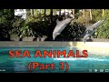 ALPHABET ABC SONG With SEA ANIMALS SOUNDS KID SCIENCE