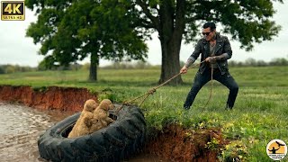 When a Flood Forces a Stranger to Make a Choice for a Stray Puppy